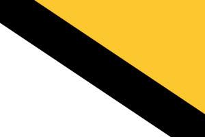 The flag of the city of Vanderbilt. The flag is split in half by a black backwards fimbriation, with the color yellow on the top right corner and white in the bottom left.